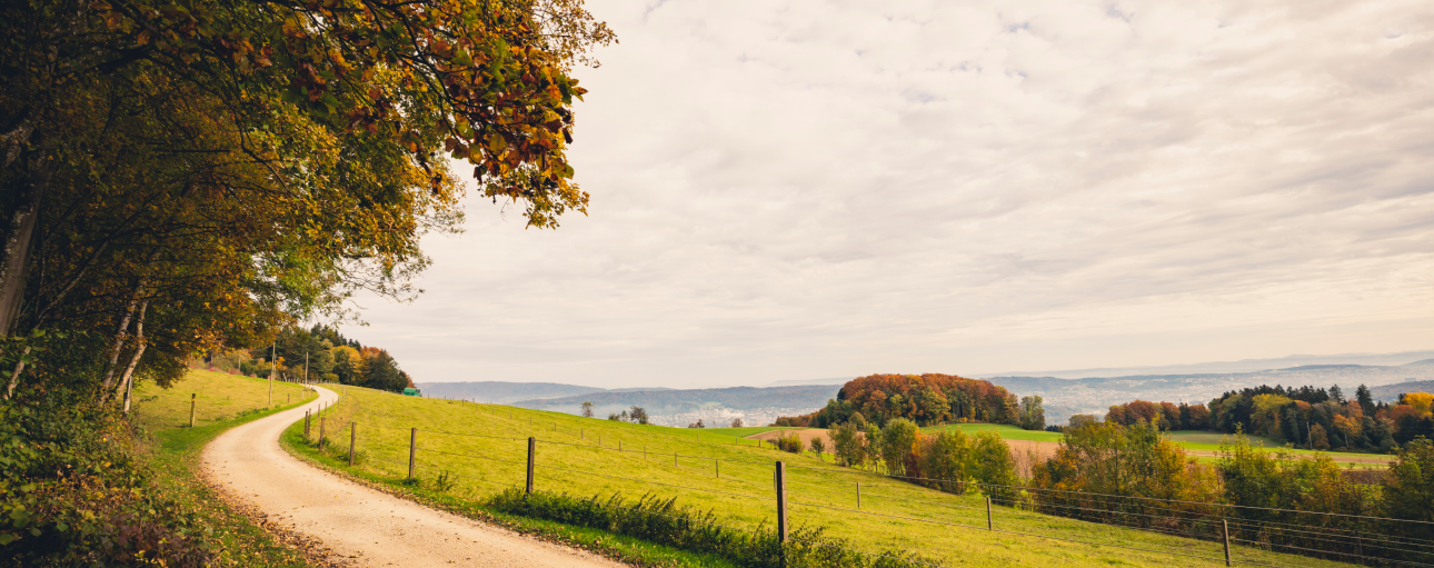 Wanderweg neben Wald