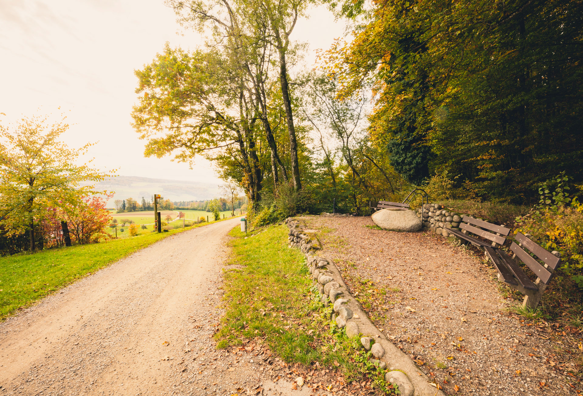 Wanderweg im Grünen